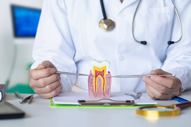 Best Emergency Dentist for Lost Fillings or Crowns in Bessemer City, NC